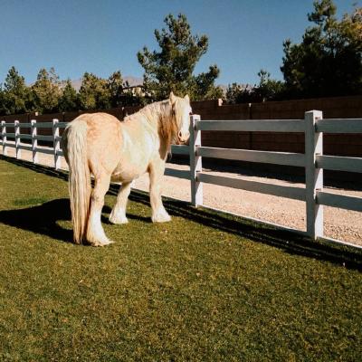 46 Concrete Horse Fences